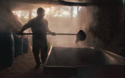 El camino de la Reforma Laboral: mejoras en contratación, recargos, protección social y derechos laborales