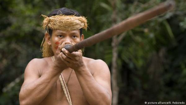 Pueblos indígenas hicieron uso sostenible de las selvas amazónicas durante 5.000 años